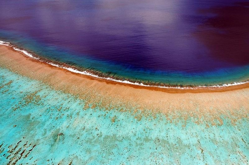 Polynesian paradise from the height of a kite