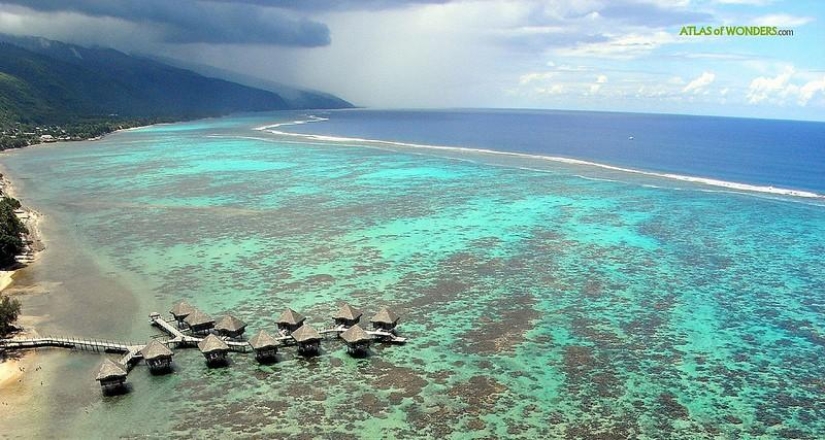 Polynesian paradise from the height of a kite