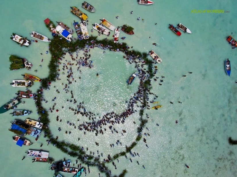 Polynesian paradise from the height of a kite