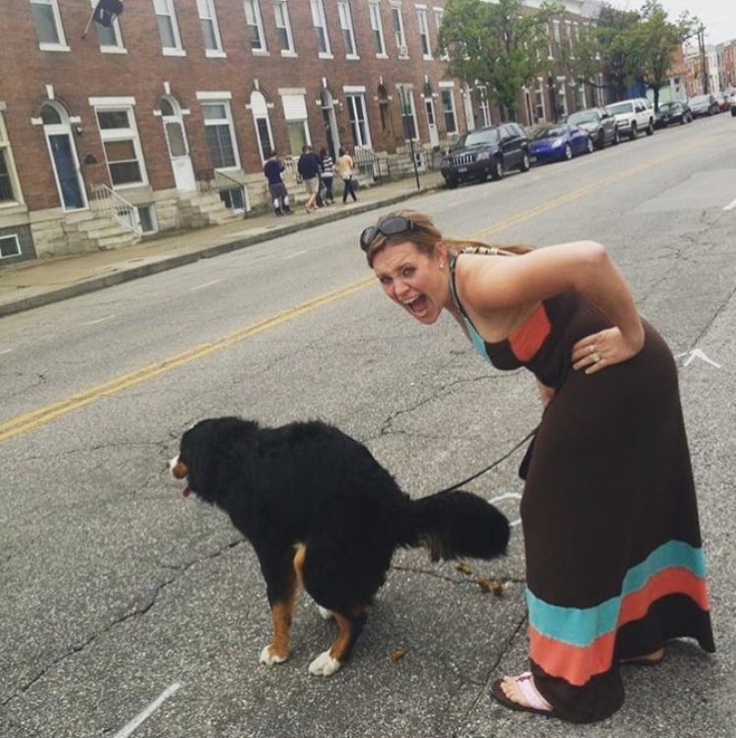 Pooping dogs-2019 : what to give a friend for the New Year Pooping dogs-2019 : what to give a friend for the New Year