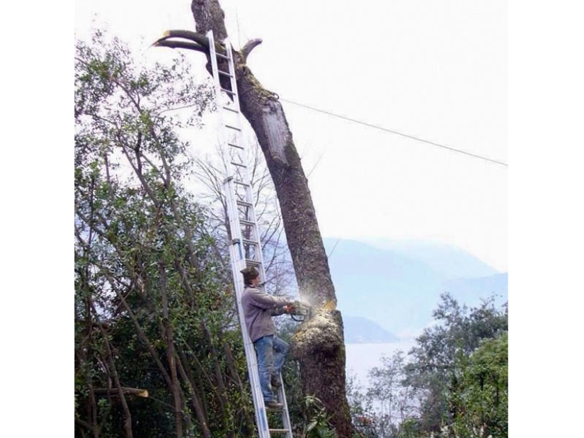 Por eso los hombres viven menos que las mujeres: 25 fotos