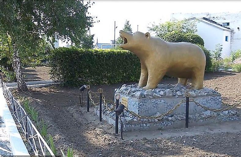 Por lo que el oso Katerina está cumpliendo una cadena perpetua en una colonia kazaja Por lo que el oso Katerina está cumpliendo una cadena perpetua en una colonia kazaja