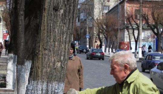 ¿Por qué la gente pinta los troncos de los árboles de blanco? ¿Por qué la gente pinta los troncos de los árboles de blanco?