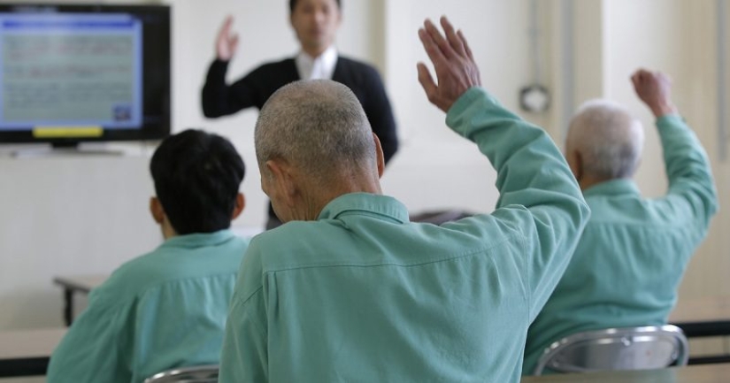 ¿Por qué los japoneses viven más que los demás?