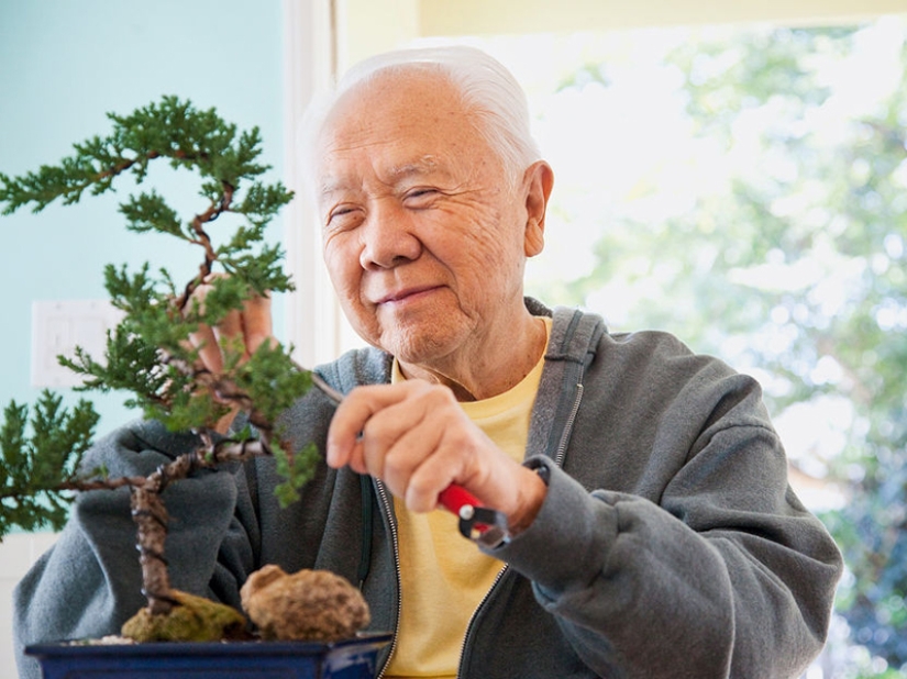 ¿Por qué los japoneses viven más que los demás?