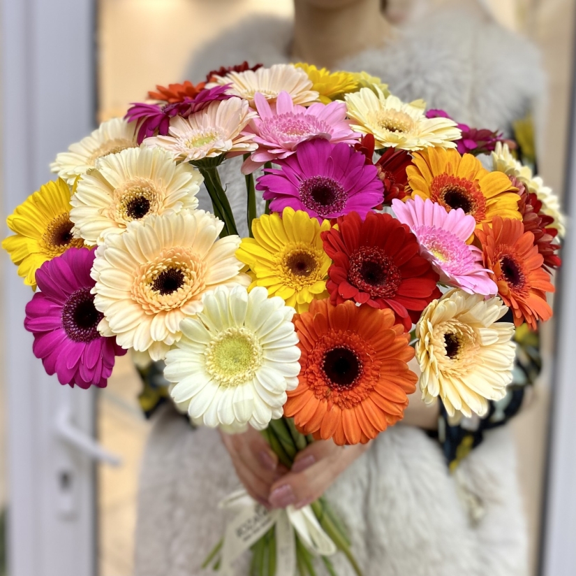 ¿Por qué nadie les pregunta a los hombres cuáles son sus flores favoritas?