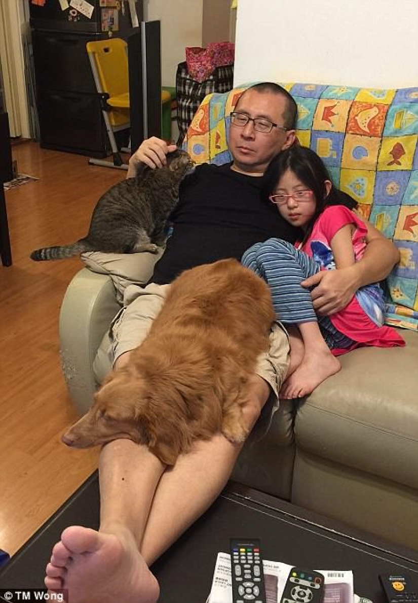 Por qué padre, hija, perro y gato toman la misma foto cada año durante una década Por qué padre, hija, perro y gato toman la misma foto cada año durante una década