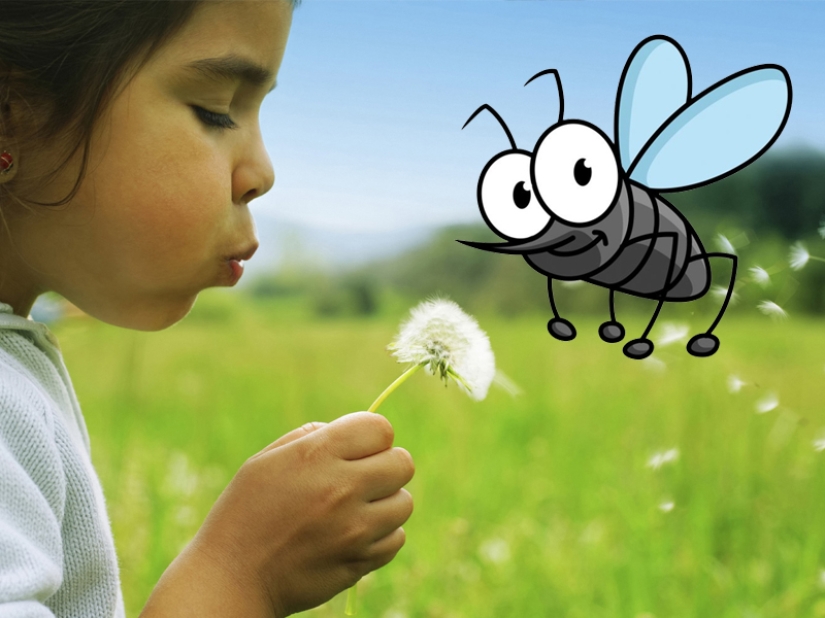 ¿Por qué te eligen los mosquitos? 10 factores de selección de víctimas