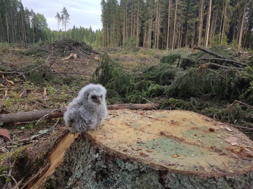 Powerful photos that will give you goosebumps