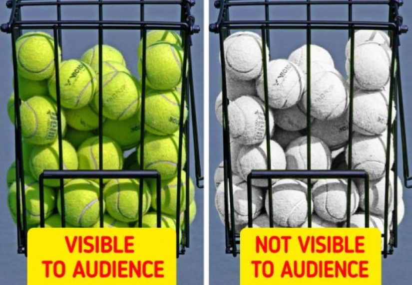 Preguntas infantiles que los adultos no tienen respuesta