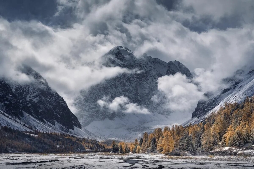 Premiere of the Wildlife Photographers Union Forum — Nature Photo Talks Premiere of the Wildlife Photographers Union Forum — Nature Photo Talks