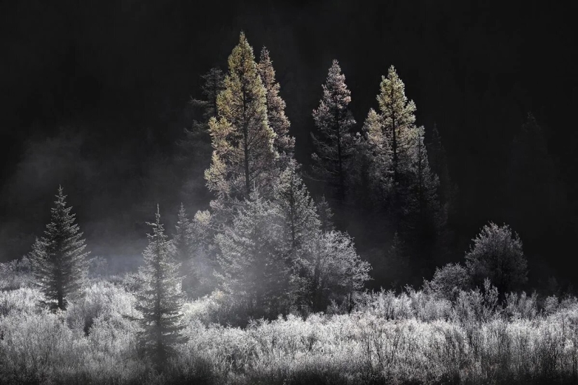 Premiere of the Wildlife Photographers Union Forum — Nature Photo Talks Premiere of the Wildlife Photographers Union Forum — Nature Photo Talks