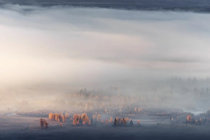 Premiere of the Wildlife Photographers Union Forum — Nature Photo Talks Premiere of the Wildlife Photographers Union Forum — Nature Photo Talks