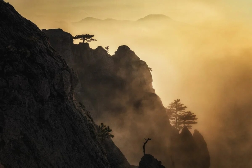 Premiere of the Wildlife Photographers Union Forum — Nature Photo Talks Premiere of the Wildlife Photographers Union Forum — Nature Photo Talks