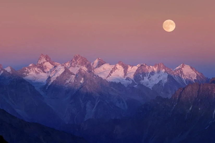 Premiere of the Wildlife Photographers Union Forum — Nature Photo Talks Premiere of the Wildlife Photographers Union Forum — Nature Photo Talks