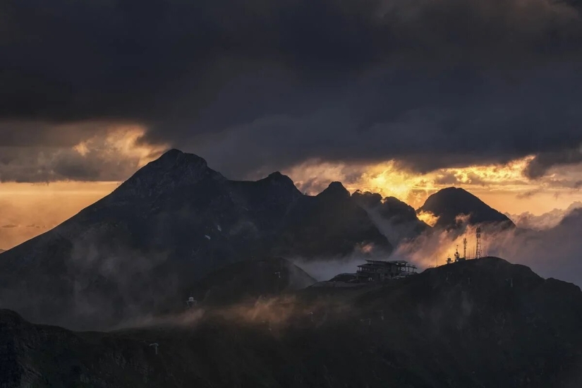 Premiere of the Wildlife Photographers Union Forum — Nature Photo Talks Premiere of the Wildlife Photographers Union Forum — Nature Photo Talks