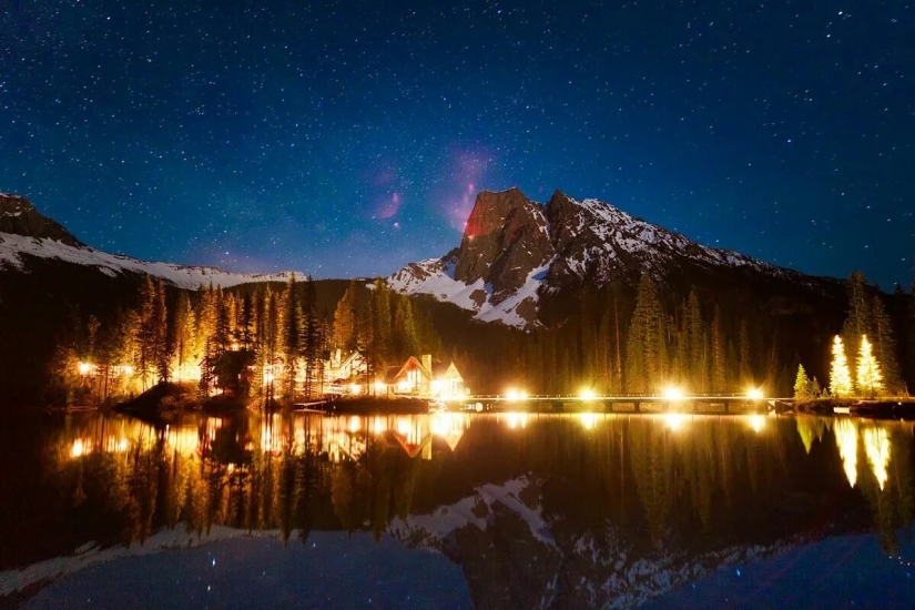 Premiere of the Wildlife Photographers Union Forum — Nature Photo Talks Premiere of the Wildlife Photographers Union Forum — Nature Photo Talks