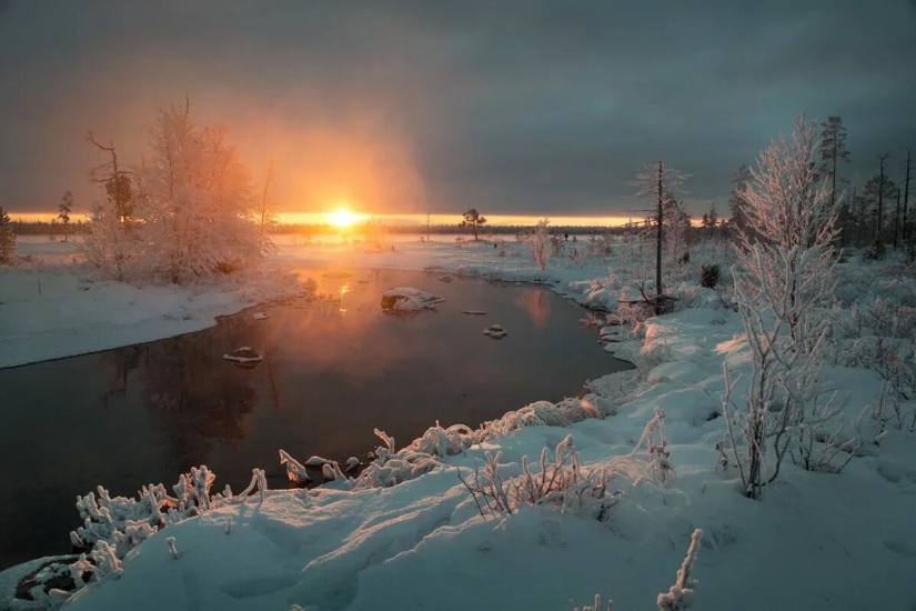 Premiere of the Wildlife Photographers Union Forum — Nature Photo Talks Premiere of the Wildlife Photographers Union Forum — Nature Photo Talks