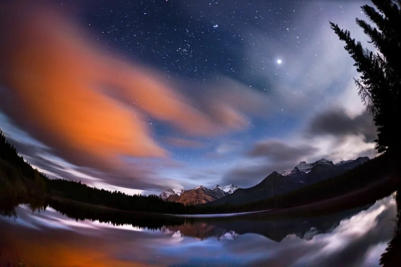 Premiere of the Wildlife Photographers Union Forum — Nature Photo Talks Premiere of the Wildlife Photographers Union Forum — Nature Photo Talks