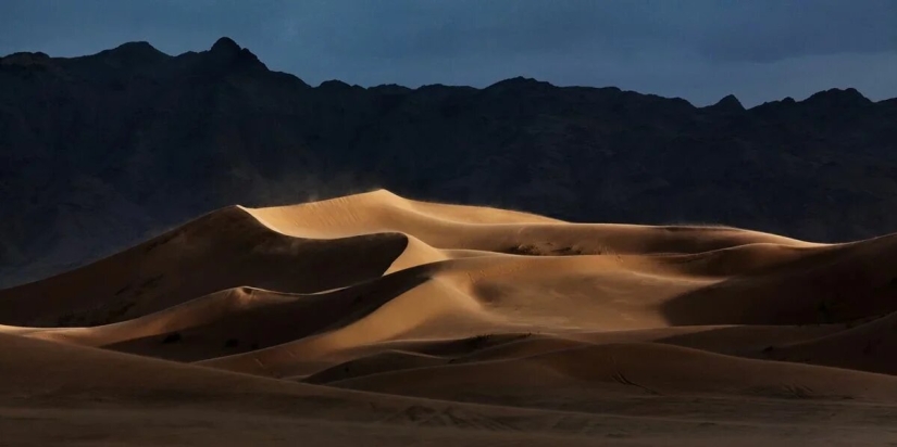 Premiere of the Wildlife Photographers Union Forum — Nature Photo Talks Premiere of the Wildlife Photographers Union Forum — Nature Photo Talks
