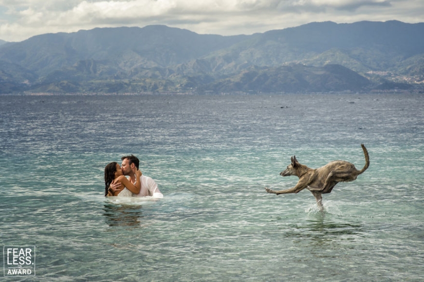"Premio a los intrépidos": las 30 mejores fotos de boda de 2018