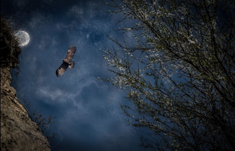 Puesto de guardianes del bosque