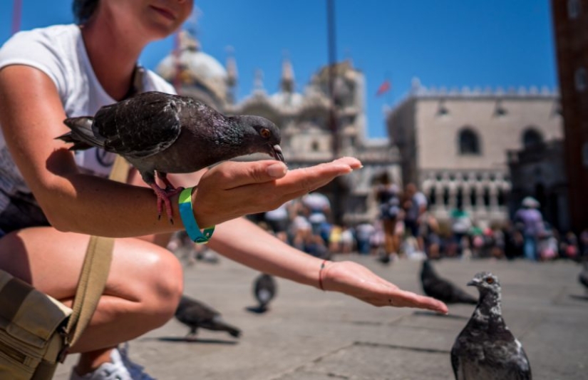 ¿Qué deben evitar los turistas en Italia? 13 hechos