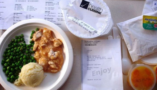 Qué se alimenta en hospitales de diferentes países Qué se alimenta en hospitales de diferentes países