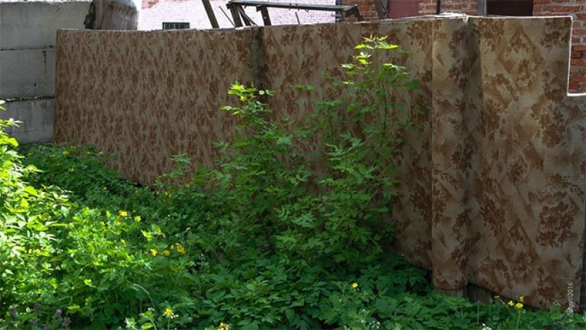 Qué sucede con las alfombras que han sido desterradas del apartamento