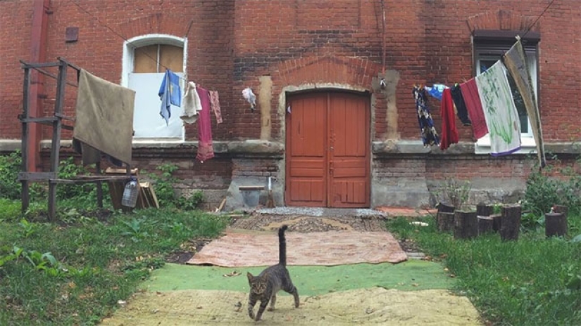 Qué sucede con las alfombras que han sido desterradas del apartamento