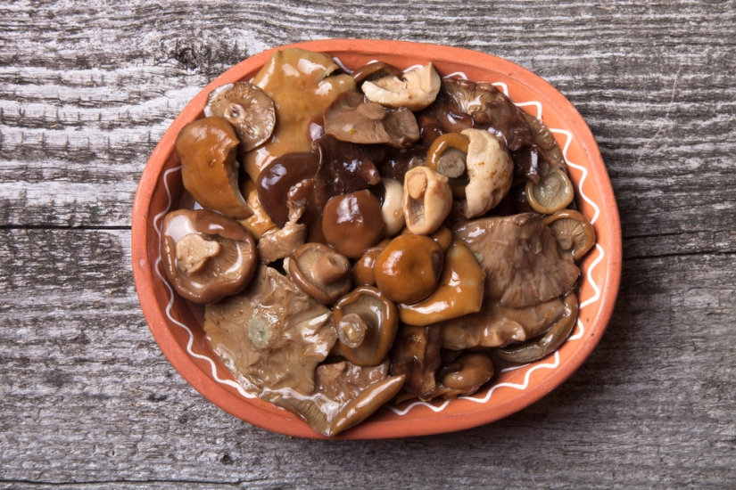 Qué tipo de comida falta para los rusos en el extranjero Qué tipo de comida falta para los rusos en el extranjero