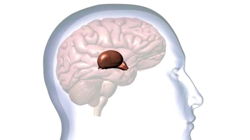 Qué tipo de desviación mental puede ser causada por la risa del Bromista