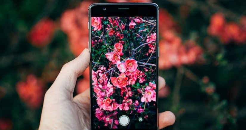 Qué tipo de Pokémon es este: ha aparecido Shazam para animales, plantas y pájaros