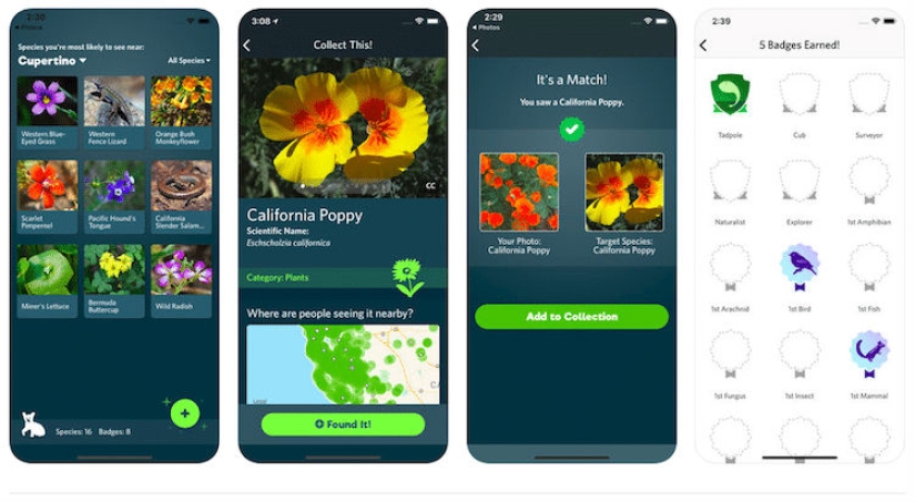Qué tipo de Pokémon es este: ha aparecido Shazam para animales, plantas y pájaros