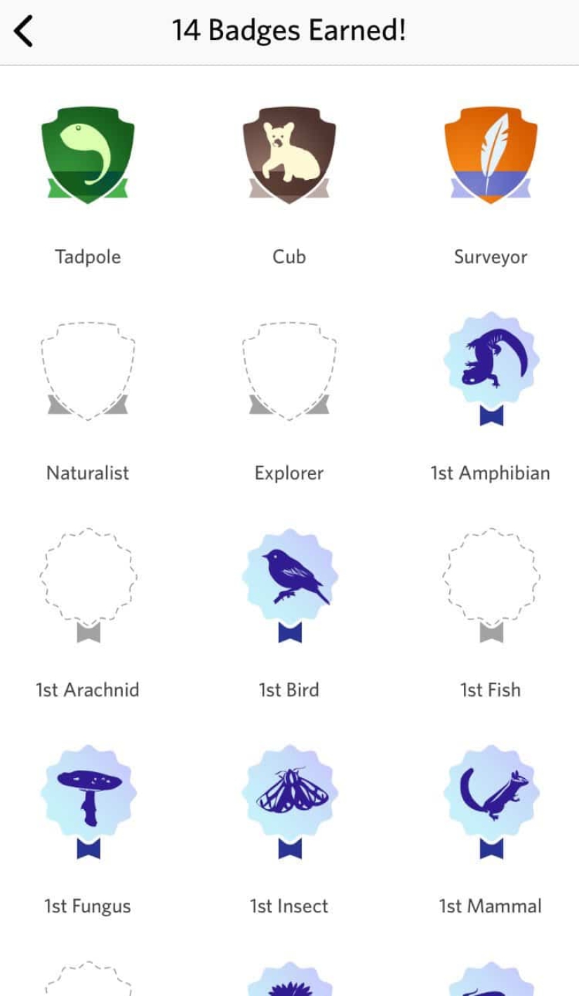 Qué tipo de Pokémon es este: ha aparecido Shazam para animales, plantas y pájaros