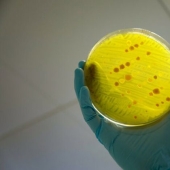 Quite disturbing facts about the world