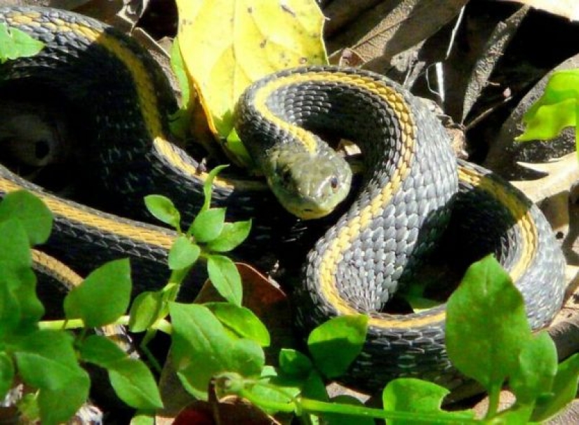 Quite disturbing facts about the world