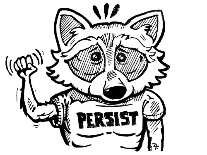 Raccoon made a leap of faith from the 9th floor, imagining himself an assassin Raccoon made a leap of faith from the 9th floor, imagining himself an assassin