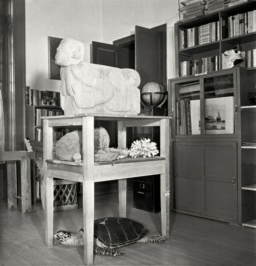 Raras fotos de los últimos años de la vida de Frida Kahlo