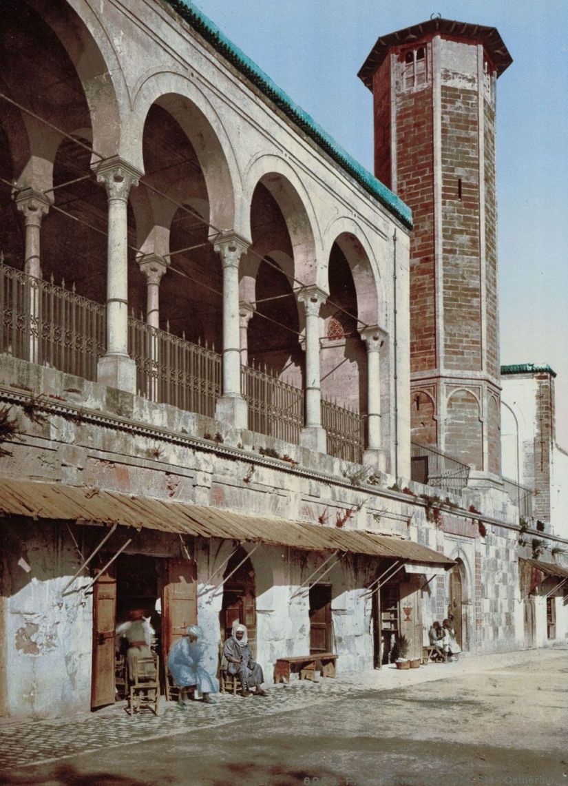 Rare color shots from Tunisia at the turn of the XIX-XX centuries
