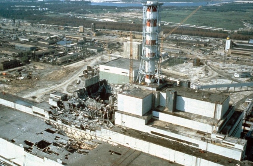 Rayos de bondad: un científico de los Estados Unidos sacrificó su carrera para salvar a los perros abandonados en Chernobyl