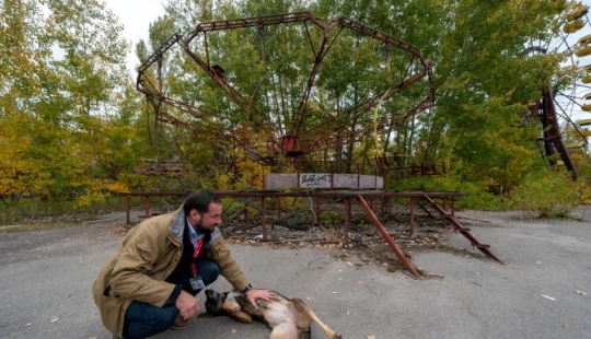 Rays of kindness: a scientist from the USA sacrificed his career to save abandoned dogs in Chernobyl