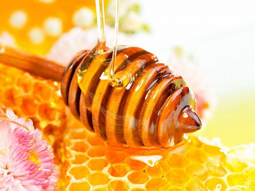 Recetas únicas para duetos de miel
