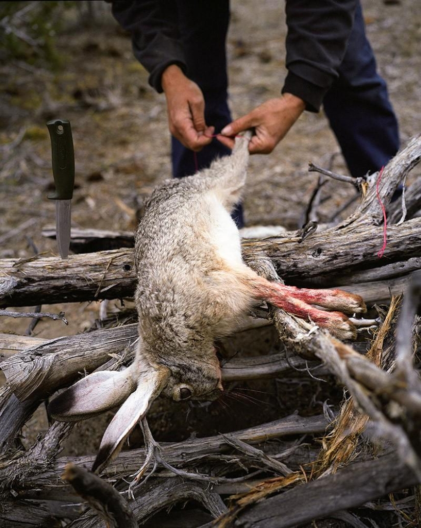 Regreso a los orígenes: Cómo viven los cazadores y recolectores modernos Regreso a los orígenes: Cómo viven los cazadores y recolectores modernos