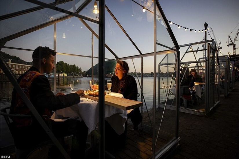 Restaurante holandés plantó visitantes para cenar en invernaderos Restaurante holandés plantó visitantes para cenar en invernaderos