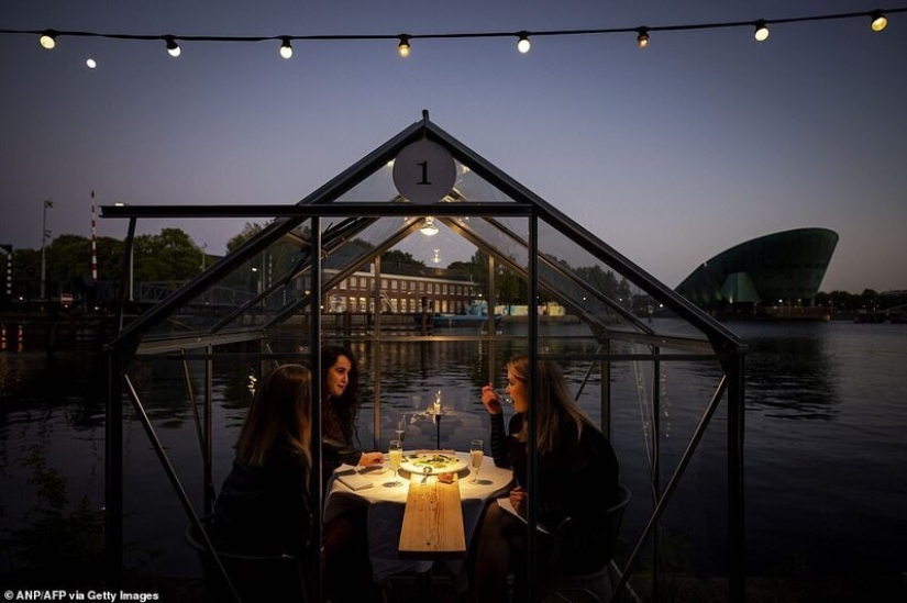 Restaurante holandés plantó visitantes para cenar en invernaderos Restaurante holandés plantó visitantes para cenar en invernaderos
