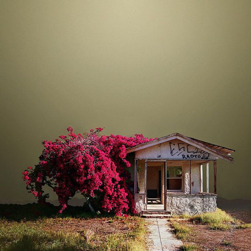 Rincones olvidados en el desierto de California