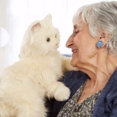 Robocot: the perfect pet that doesn't need to be fed