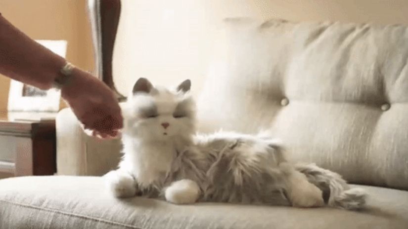 Robocot: the perfect pet that doesn't need to be fed