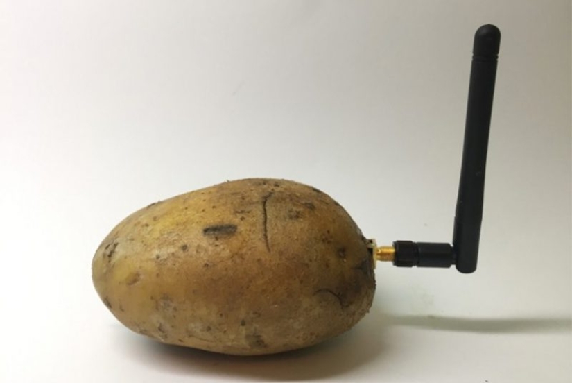 Robot de alimentación de papel higiénico, Icartoshka y otros logros de la tecnología CES 2020